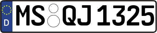MS-QJ1325