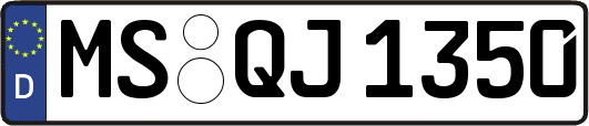 MS-QJ1350