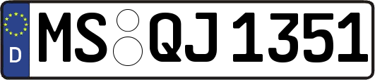 MS-QJ1351