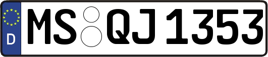 MS-QJ1353