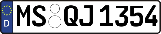 MS-QJ1354