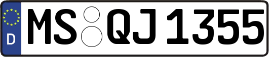 MS-QJ1355