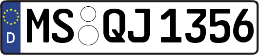 MS-QJ1356
