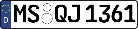 MS-QJ1361