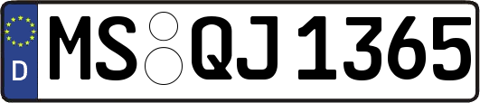 MS-QJ1365