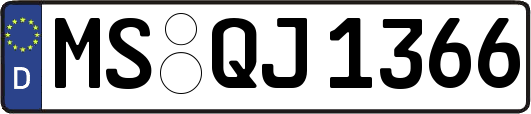 MS-QJ1366
