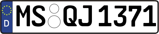 MS-QJ1371