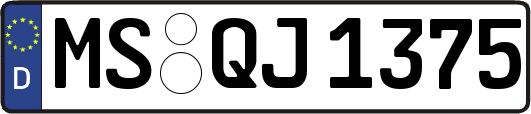 MS-QJ1375