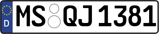MS-QJ1381