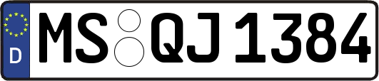 MS-QJ1384
