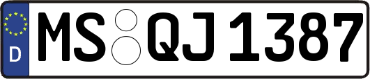 MS-QJ1387