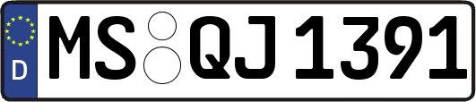 MS-QJ1391