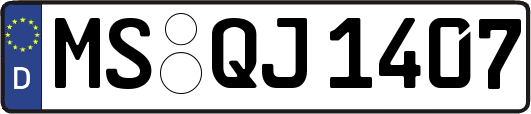 MS-QJ1407