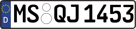 MS-QJ1453