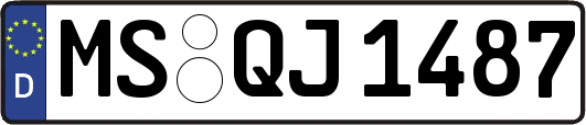 MS-QJ1487