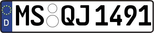 MS-QJ1491