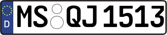 MS-QJ1513