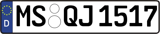 MS-QJ1517