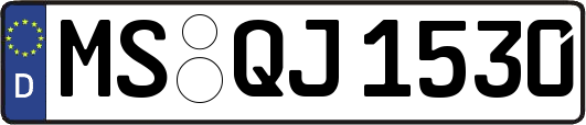 MS-QJ1530