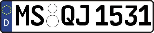 MS-QJ1531