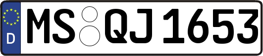 MS-QJ1653