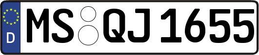 MS-QJ1655