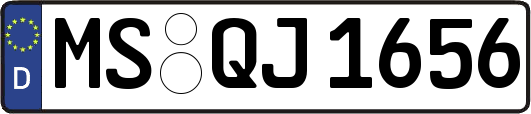 MS-QJ1656