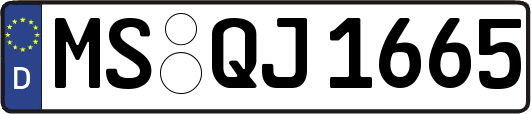 MS-QJ1665