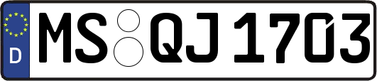 MS-QJ1703