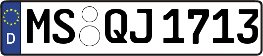MS-QJ1713