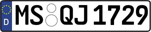 MS-QJ1729