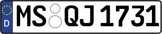MS-QJ1731