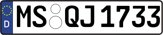 MS-QJ1733