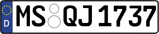 MS-QJ1737