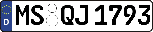 MS-QJ1793