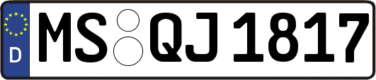 MS-QJ1817