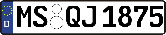 MS-QJ1875