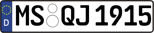 MS-QJ1915