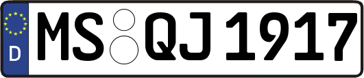 MS-QJ1917