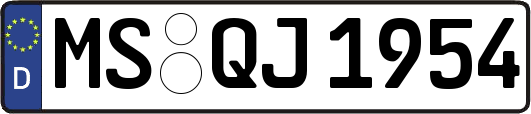 MS-QJ1954