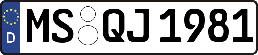 MS-QJ1981