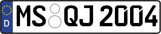 MS-QJ2004