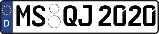 MS-QJ2020