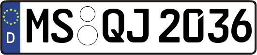MS-QJ2036