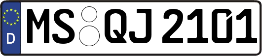 MS-QJ2101