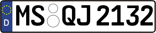 MS-QJ2132