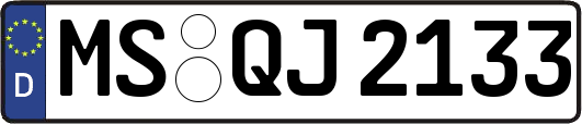 MS-QJ2133