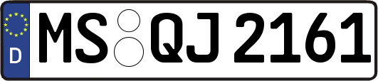MS-QJ2161