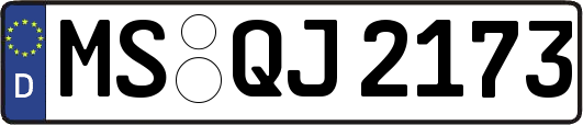 MS-QJ2173