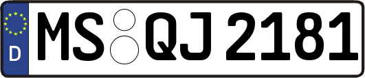 MS-QJ2181